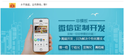 微信小程序开发定制/苹果安卓udid定制版/原版企业软件素材教程
